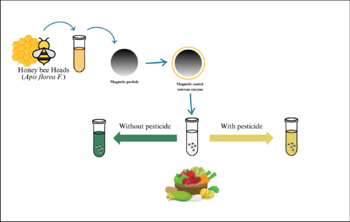 40538 2024 595 Figa HTML